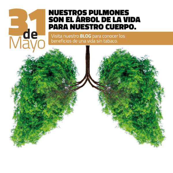 Día Mundial sin Tabaco: un potente veneno